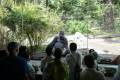 Copy of Terria Clay_0437_Western Lowland Gorilla with Visitors_CON_BZ_20240620