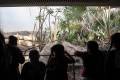 Copy of Terria Clay_3984_Visitors and Children at Ring-tailed Lemur Exhibit_MAD_BZ_20241008